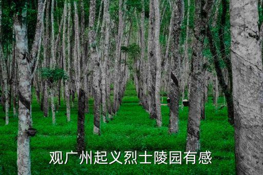 參觀廣州烈士陵園作文，觀廣州起義烈士陵園有感