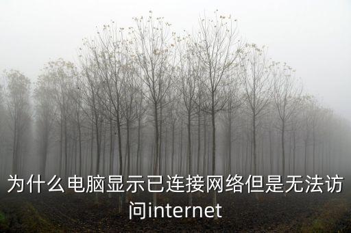 為什么電腦顯示已連接網絡但是無法訪問internet