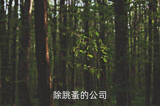 廣州專業(yè)除跳蚤，除跳蚤的公司
