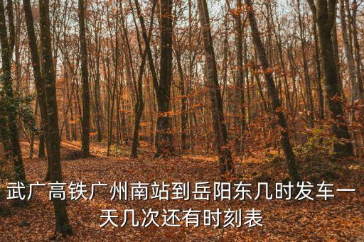 武廣高鐵廣州南站到岳陽東幾時(shí)發(fā)車一天幾次還有時(shí)刻表