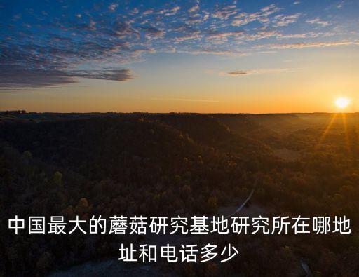 中國(guó)最大的蘑菇研究基地研究所在哪地址和電話多少