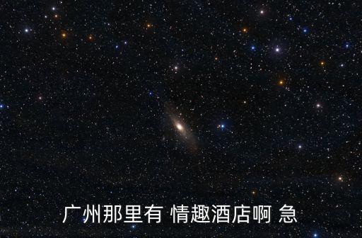 廣州那里有 情趣酒店啊 急