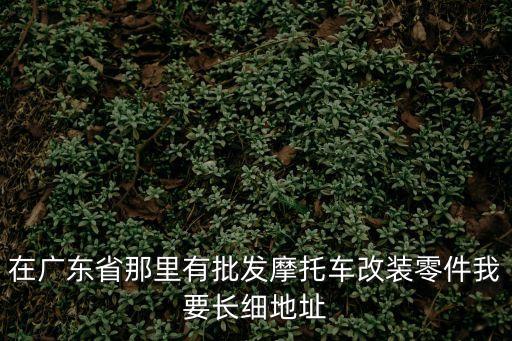 廣州市騰威摩通機車配件有限公司，在廣東省那里有批發摩托車改裝零件我要長細地址