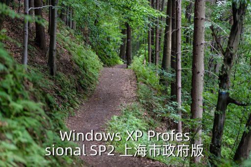 Windows XP Professional SP2 上海市政府版
