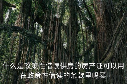 什么是政策性借讀供房的房產證可以用在政策性借讀的條款里嗎買
