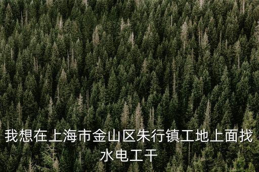 上海市求職水電工，上海的電氣招聘信息都在哪看啊