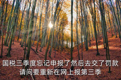國稅三季度忘記申報了然后去交了罰款請問要重新在網(wǎng)上報第三季
