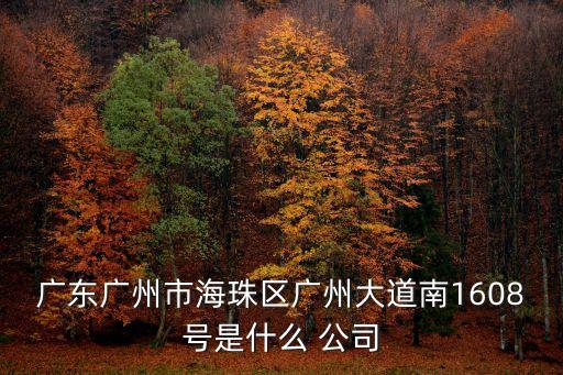 廣東廣州市海珠區(qū)廣州大道南1608號是什么 公司