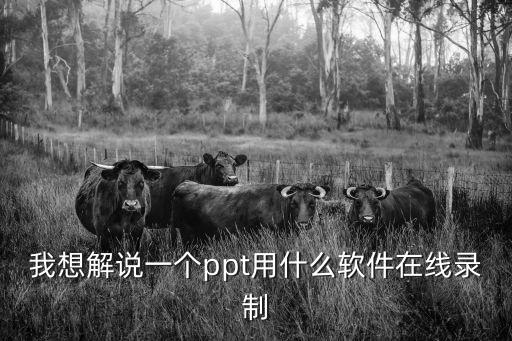我想解說一個(gè)ppt用什么軟件在線錄制
