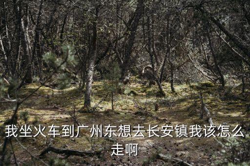 我坐火車到廣州東想去長安鎮我該怎么走啊