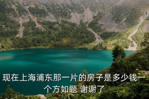 現在上海浦東那一片的房子是多少錢一個方如題 謝謝了