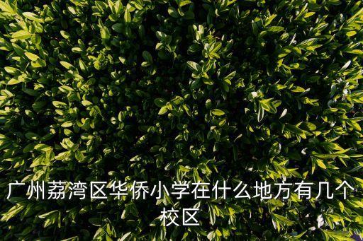 廣州荔灣區(qū)華僑小學在什么地方有幾個校區(qū)