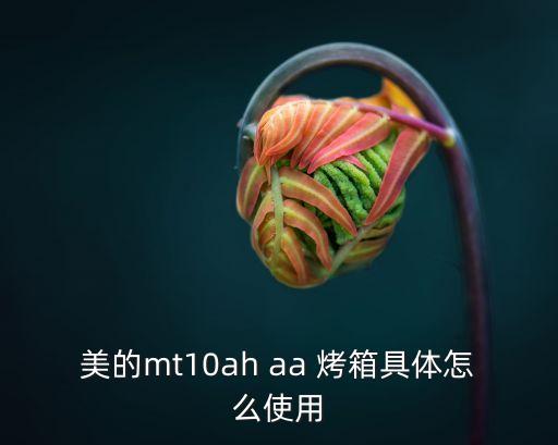 美的mt10ah aa 烤箱具體怎么使用