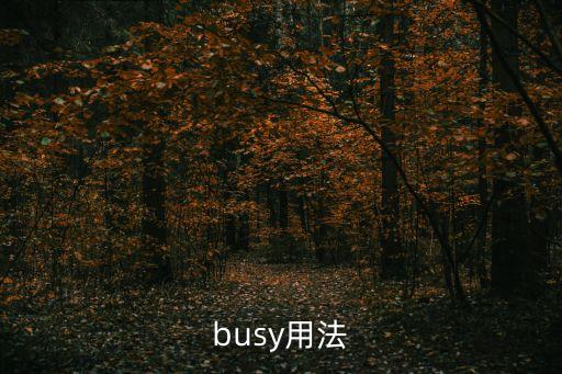 busy用法