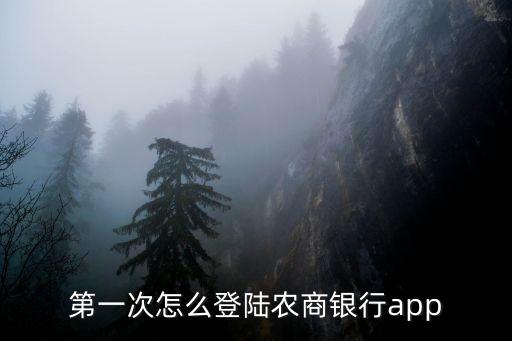 第一次怎么登陸農商銀行app