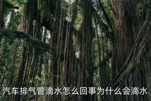 排氣管滴水，汽車排氣管滴水怎么回事為什么會滴水