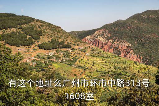 有這個地址么廣州市環市中路313號1608室