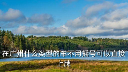 去廣州買什么車能上牌，在廣州什么類型的車不用搖號(hào)可以直接上牌