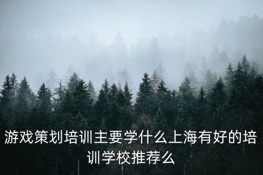 上海市三泉學校基本介紹，游戲策劃培訓主要學什么上海有好的培訓學校推薦么