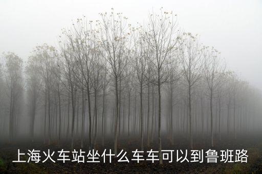 上海火車站坐什么車車可以到魯班路