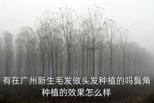 有在廣州新生毛發做頭發種植的嗎鬢角種植的效果怎么樣
