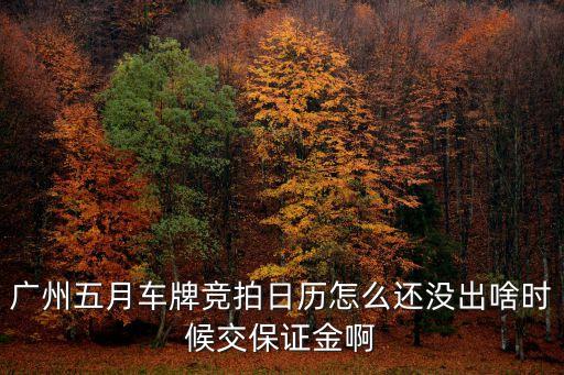 廣州五月車牌競拍日歷怎么還沒出啥時候交保證金啊