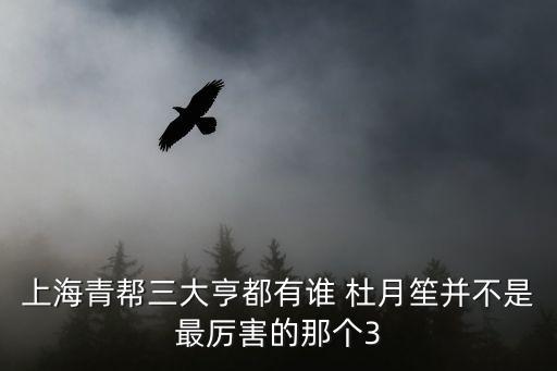 上海青幫三大亨都有誰 杜月笙并不是最厲害的那個3