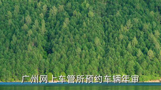 廣州網上車管所預約車輛年審