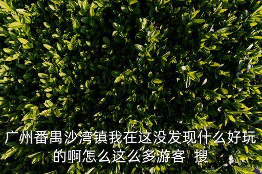 廣州沙灣公園圖片，廣州番禺沙灣滴水巖森林公園怎么坐車去