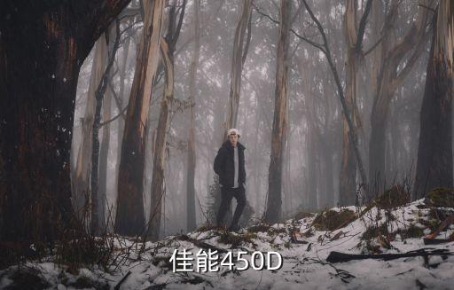 佳能450D