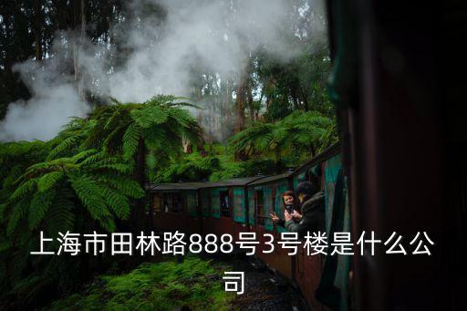 上海市田林路888號3號樓是什么公司