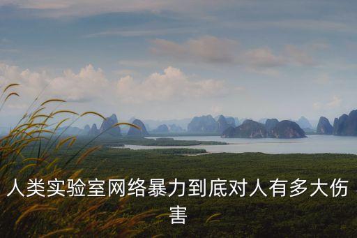 人類實(shí)驗(yàn)室網(wǎng)絡(luò)暴力到底對人有多大傷害