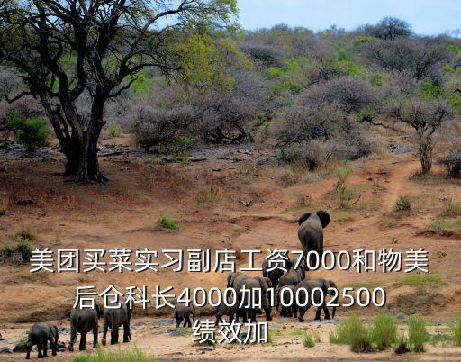 美團買菜實習副店工資7000和物美后倉科長4000加10002500績效加