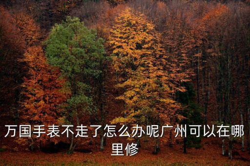 萬寶龍廣州手表維修站，廣州萬寶龍手表受潮了怎么辦哪里可以修