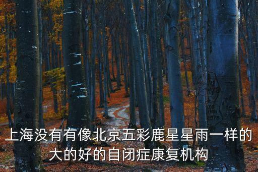 上海沒有有像北京五彩鹿星星雨一樣的大的好的自閉癥康復機構