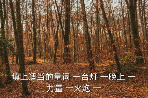 填上適當的量詞 一臺燈 一晚上 一力量 一火炮 一