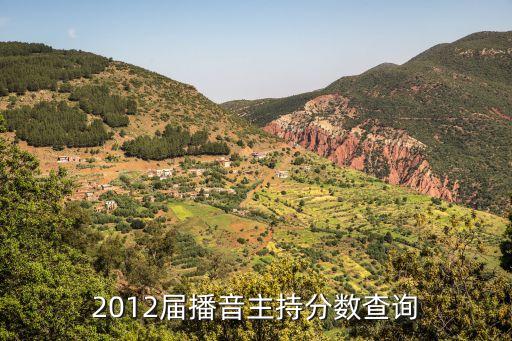 上海市播音主持統考成績查詢，播音主持藝考成績查詢
