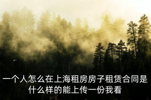 一個人怎么在上海租房房子租賃合同是什么樣的能上傳一份我看