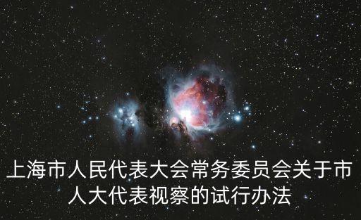 上海市人民代表大會常務委員會關于市人大代表視察的試行辦法