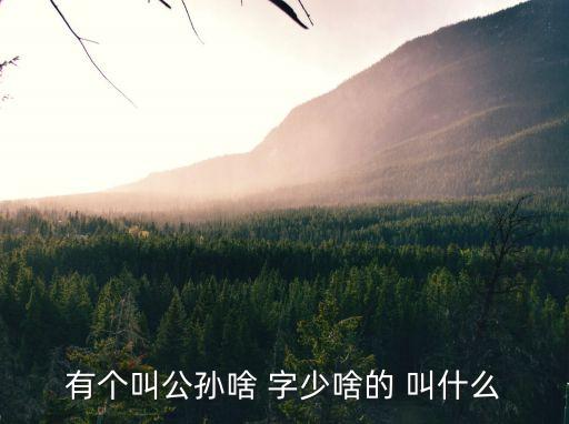 有個叫公孫啥 字少啥的 叫什么
