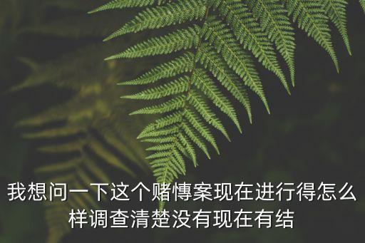 廣州破一起特大賭博案，賭博刑事案件