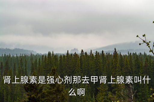 腎上腺素是強心劑那去甲腎上腺素叫什么啊