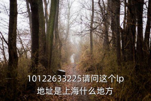 10122633225請問這個lp地址是上海什么地方