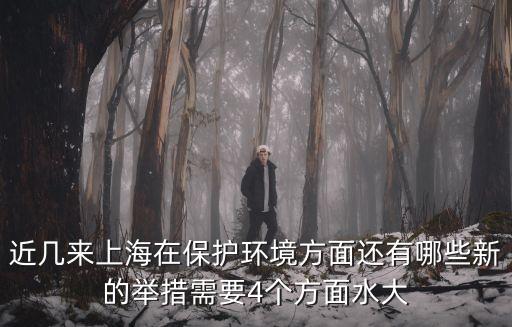 近幾來上海在保護環境方面還有哪些新的舉措需要4個方面水大