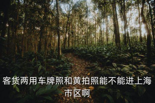 客貨兩用車牌照和黃拍照能不能進上海市區啊