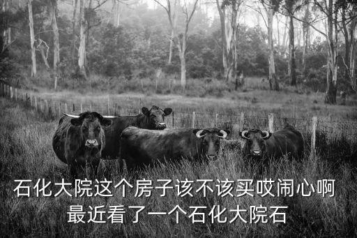 石化大院這個房子該不該買哎鬧心啊 最近看了一個石化大院石