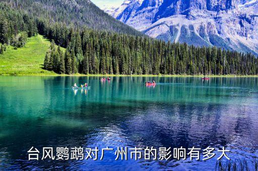 臺風鸚鵡對廣州市的影響有多大