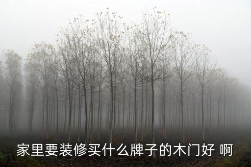家里要裝修買什么牌子的木門好 啊