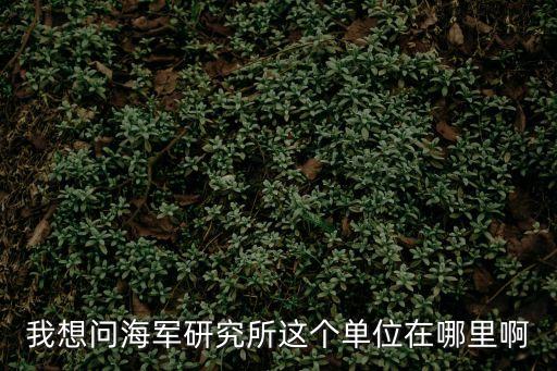我想問海軍研究所這個單位在哪里啊