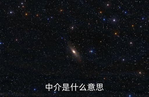 中介是什么意思